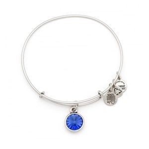 Alex and Ani Sapphire Silver Charm Bracelet Sapphire September Birthstone Charm